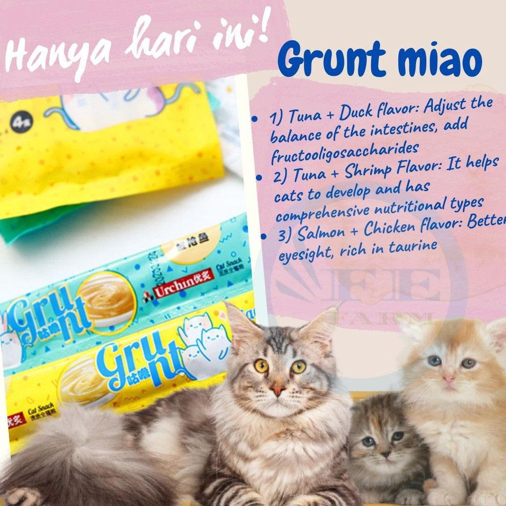 BIO CREAMY TREATS MIAO GRUNT  setara Meo Creamy treats FEFARM