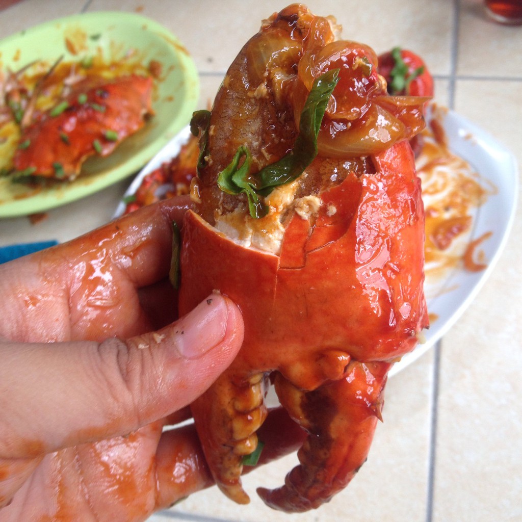 

kepiting bakau jumbo