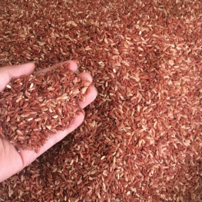 

「HEMAT BESAR!」 Beras Merah Murah 1 Kg Untuk Konsumsi 5.5 Brand/[COD]/5.5 Flash Sale/「Mall✔️」/Discount Today