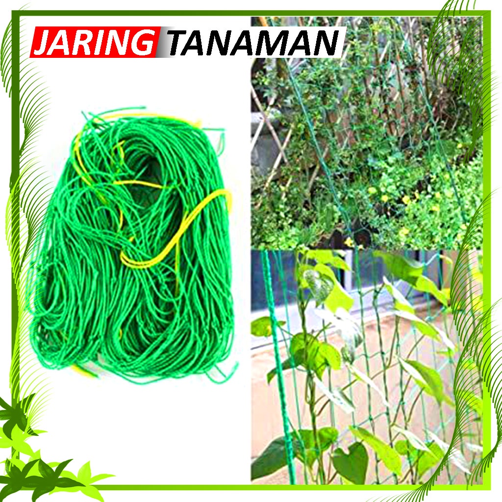 Jaring Tanaman Rambat / Tali Nilon Penopang Tanaman / Climbing Net For Gardening / Vegetable Farm