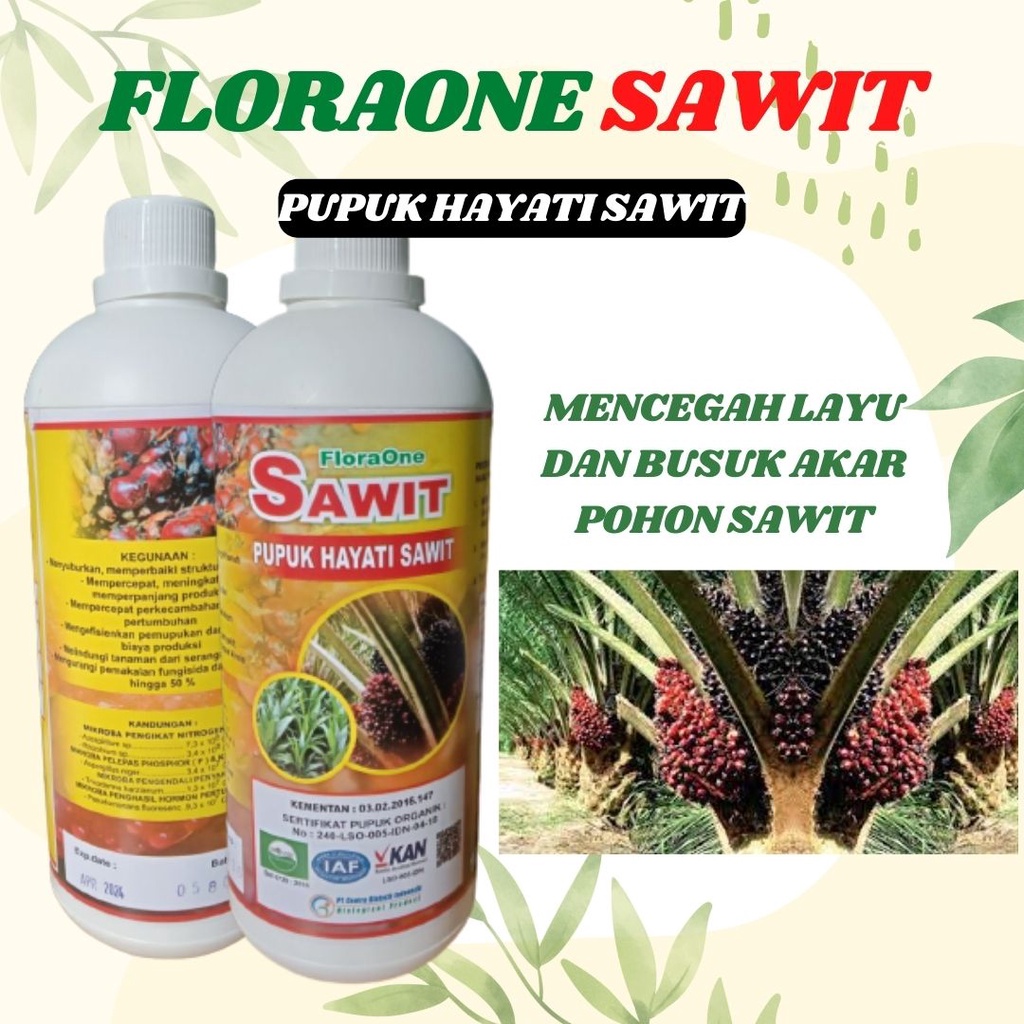 Pupuk sawit, pupuk booster obat sawit busuk, Pupuk Organik Pelebat Sawit dan Booster Perangsang Sawi