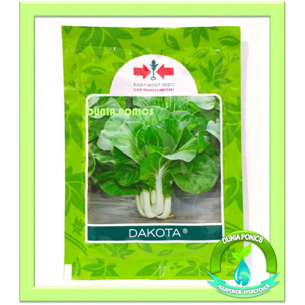 Benih Sawi Putih DAKOTA Cap Panah Merah Caisim Kemasan Asli Small Pouch 1 Pack 25 Gram