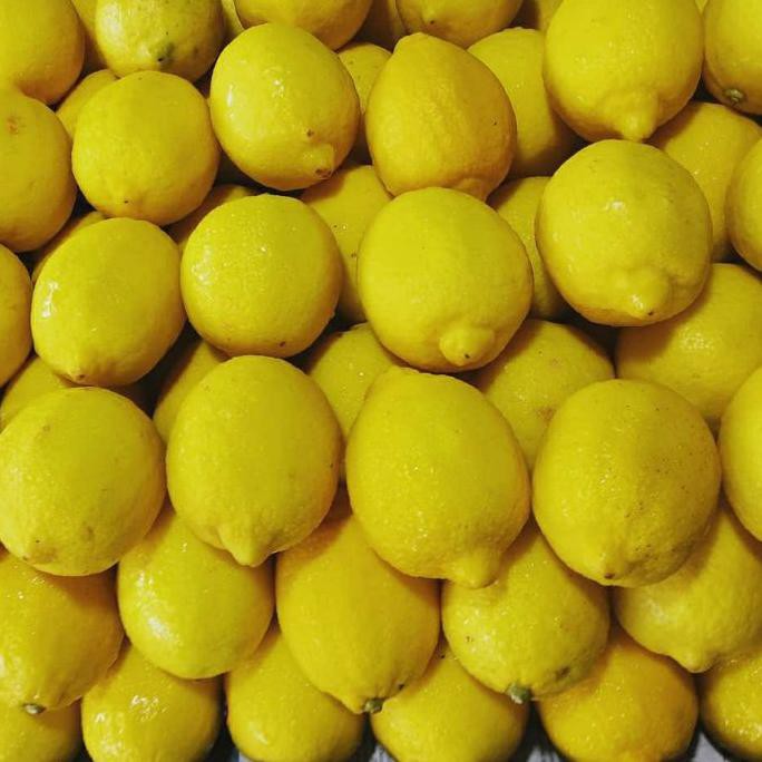 

Flash Sale!! KODE-597 LEMON AUSTRALIA 1KG