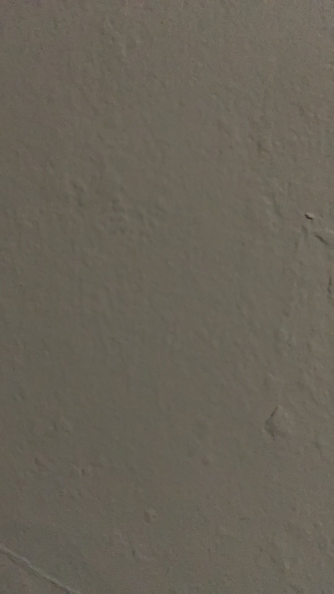 Bowl Ecorasa Ramah Lingkungan Oxium Ebl-500 (100 Pcs)