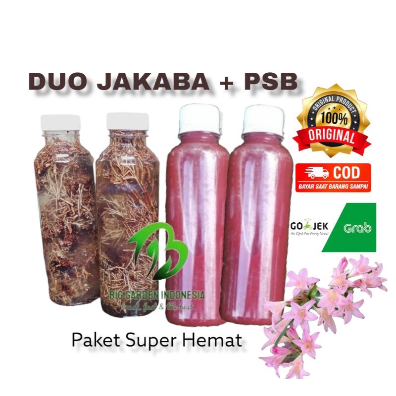Paket Hemat 2 POC Biang Jakaba Plus 2 POC PSB@250