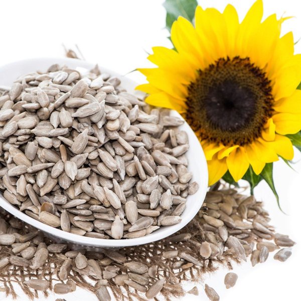 

Biji Bunga Matahari Raw 500gr - 250gr | Sunflower Seed Natural