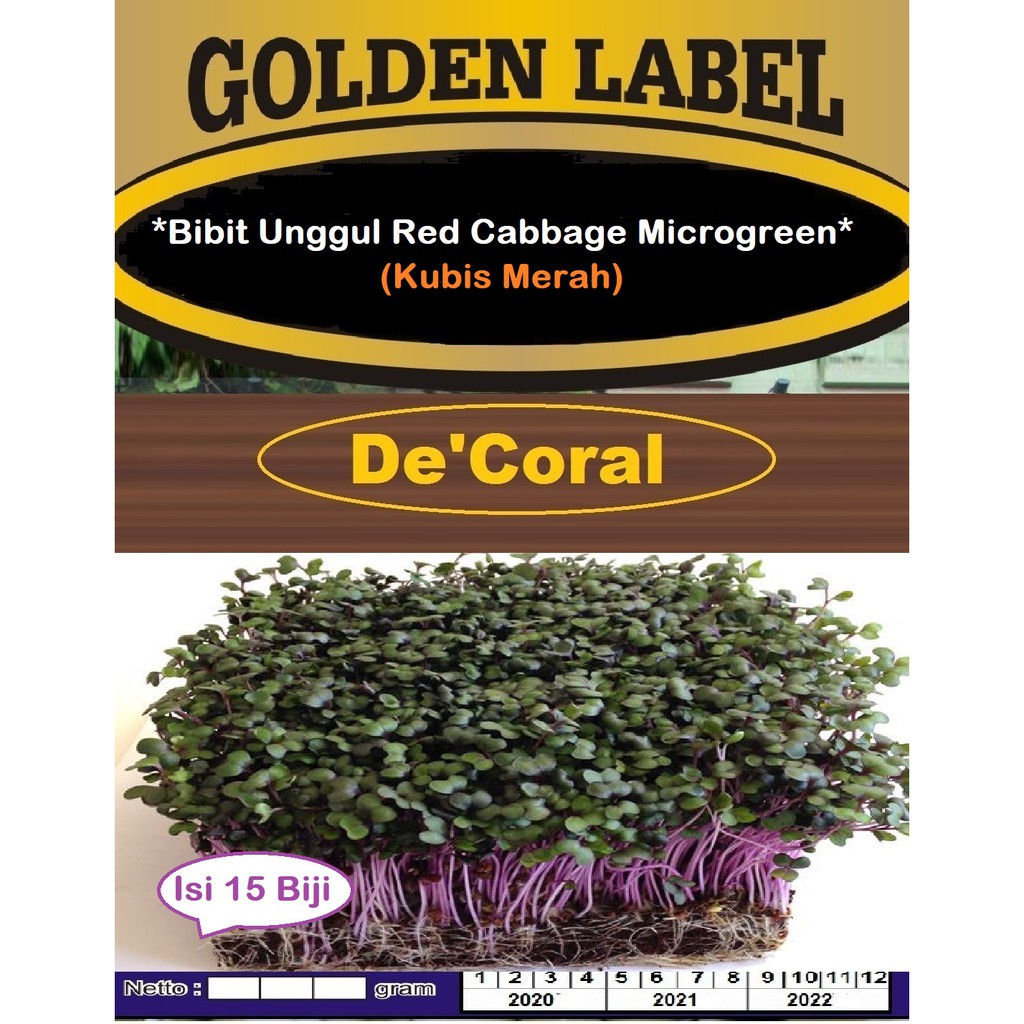 Bibit Unggul Red Cabbage Microgreens |Kubis Merah | Benih Kubis Merah
