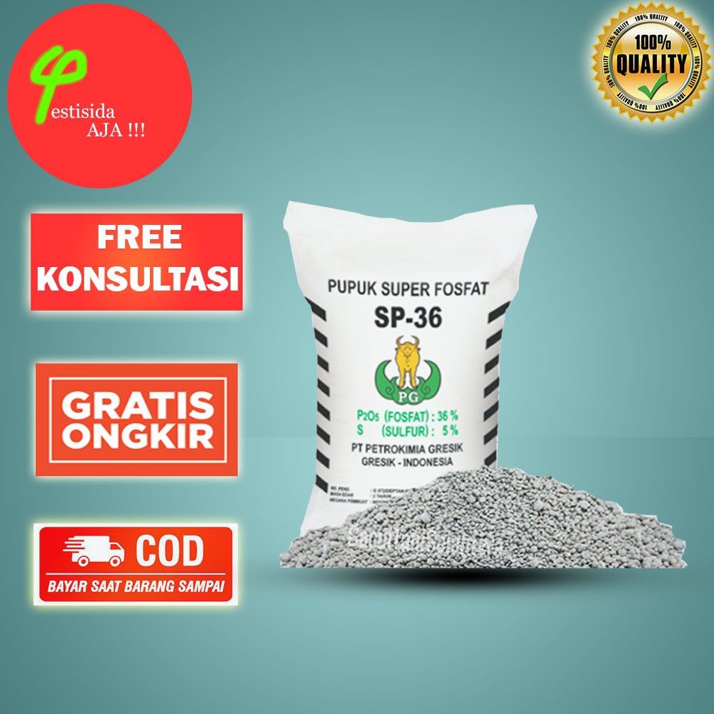 TSP SP36 PETROKIMIA PUPUK UNTUK PEMBUAHAN DAN PEMBUNGAAN