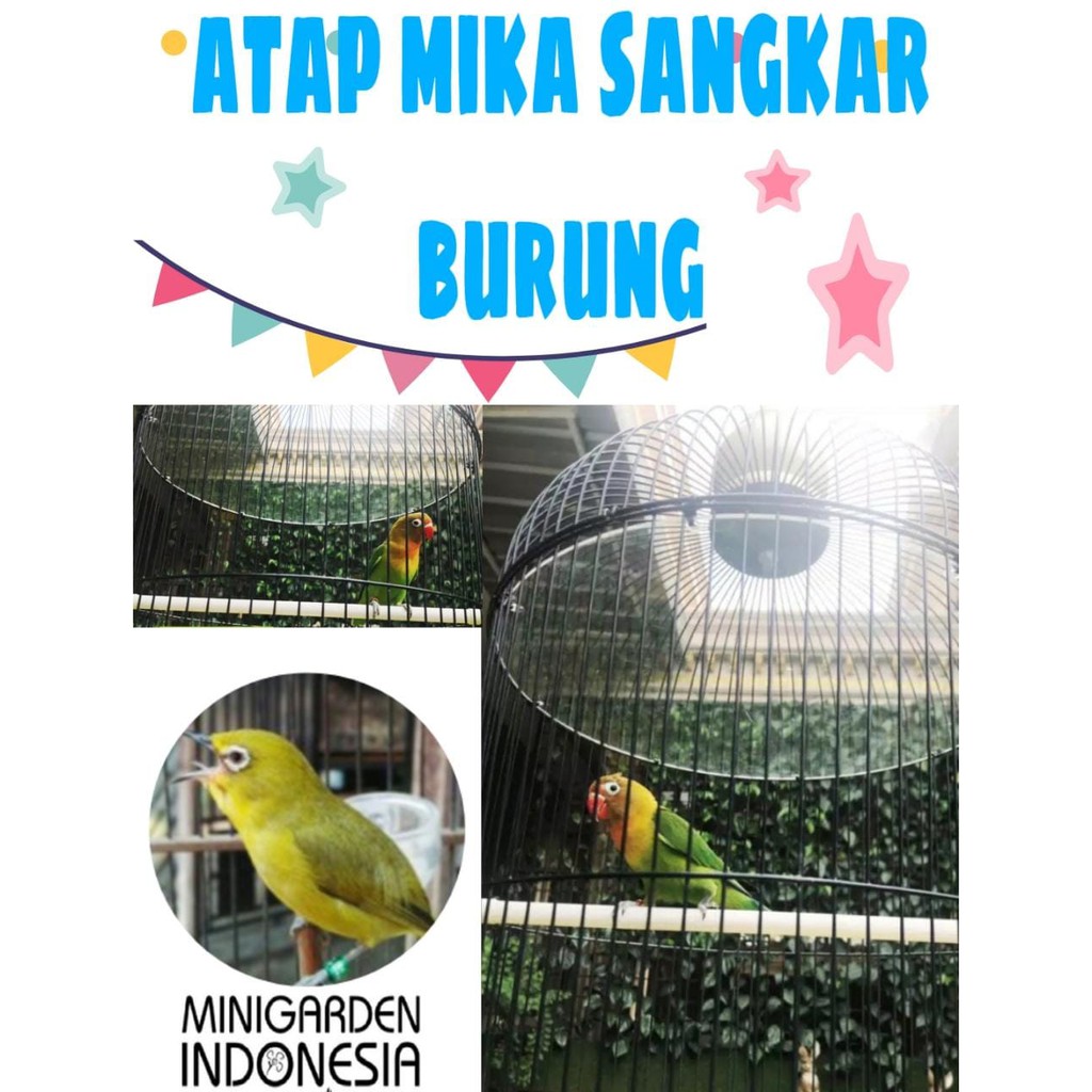 JEBAKAN ATAP MIKA plafon sangkar burung lovebird pleci bulat bening