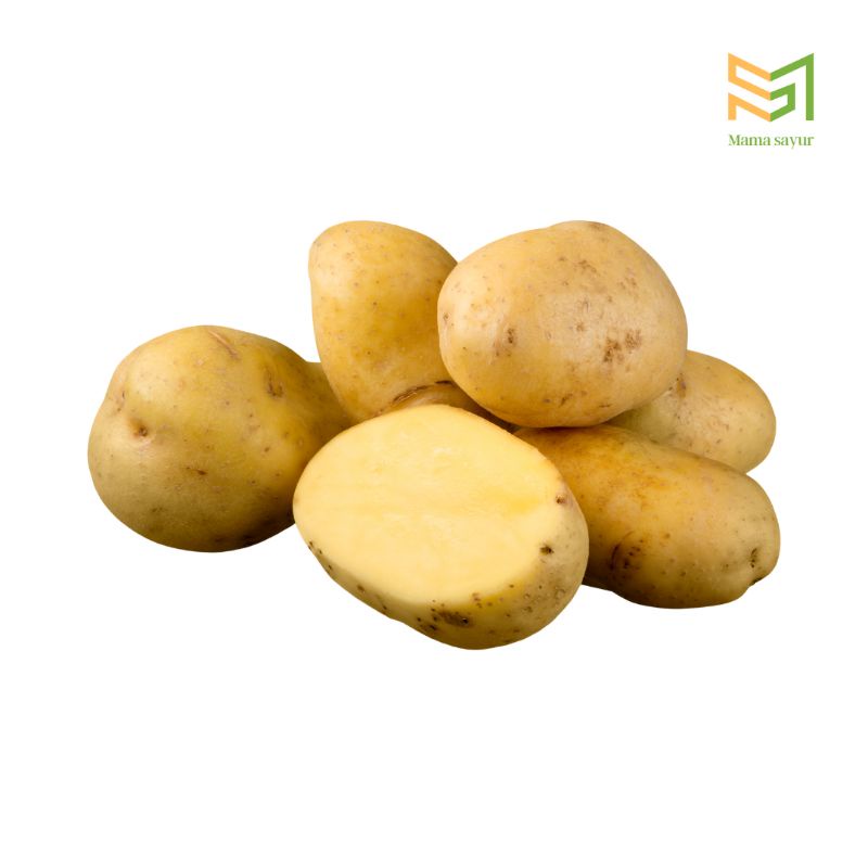 

Kentang segar per kg