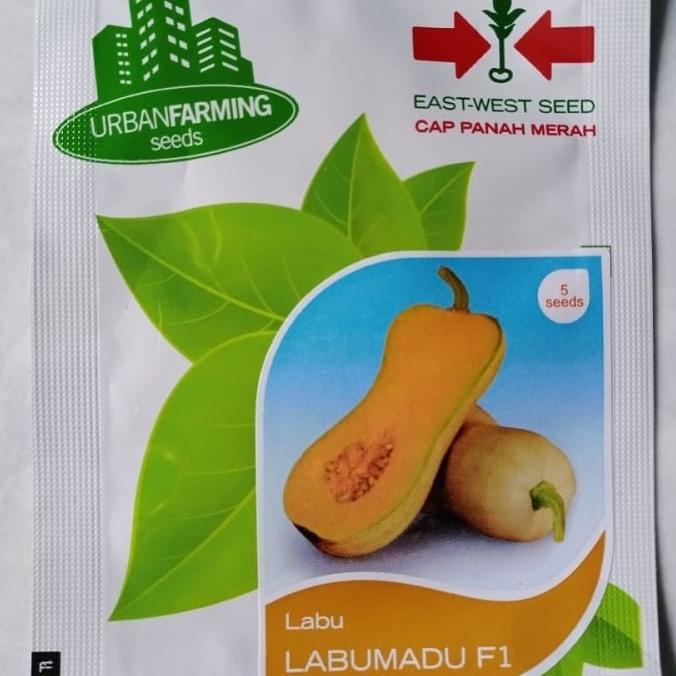 ~~~~~] Labu Madu