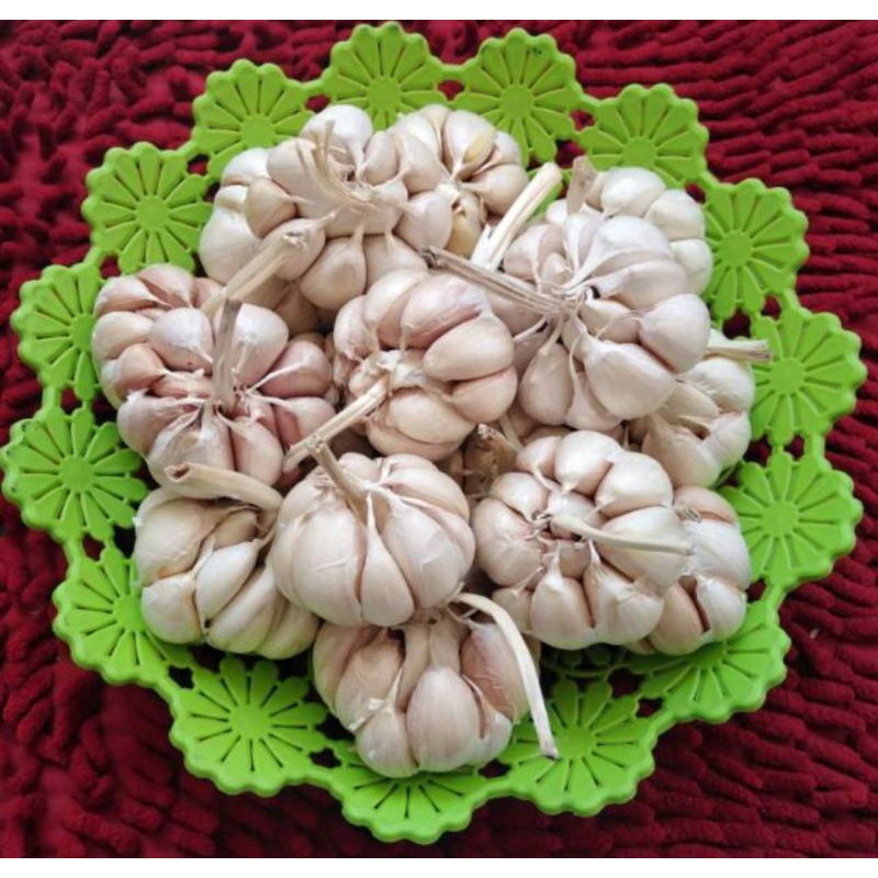 

bawang putih kualitas premium