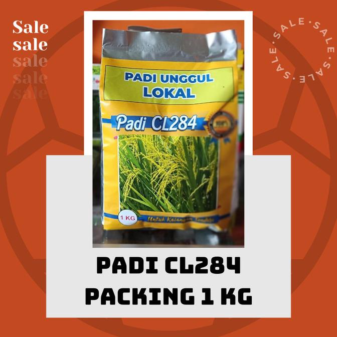 Padi Unggul Cl284 Cl 284 Kemasan 1 Kg