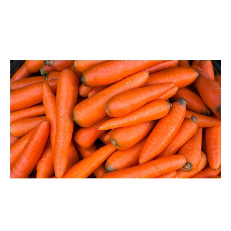 

wortel super pilihan 1000gm