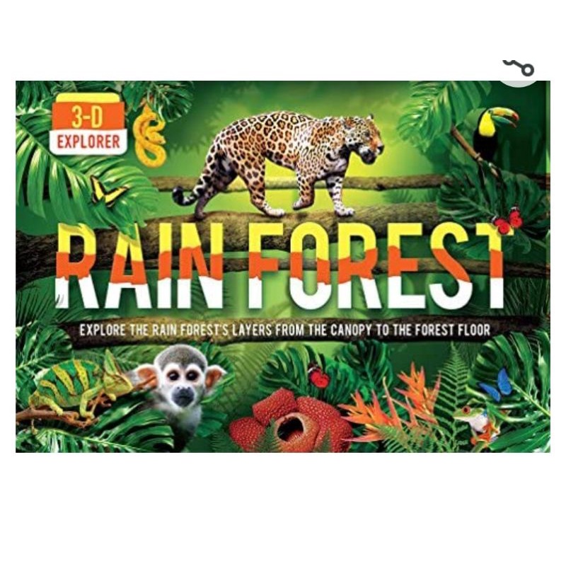 3-D EXPLORER RAIN FOREST