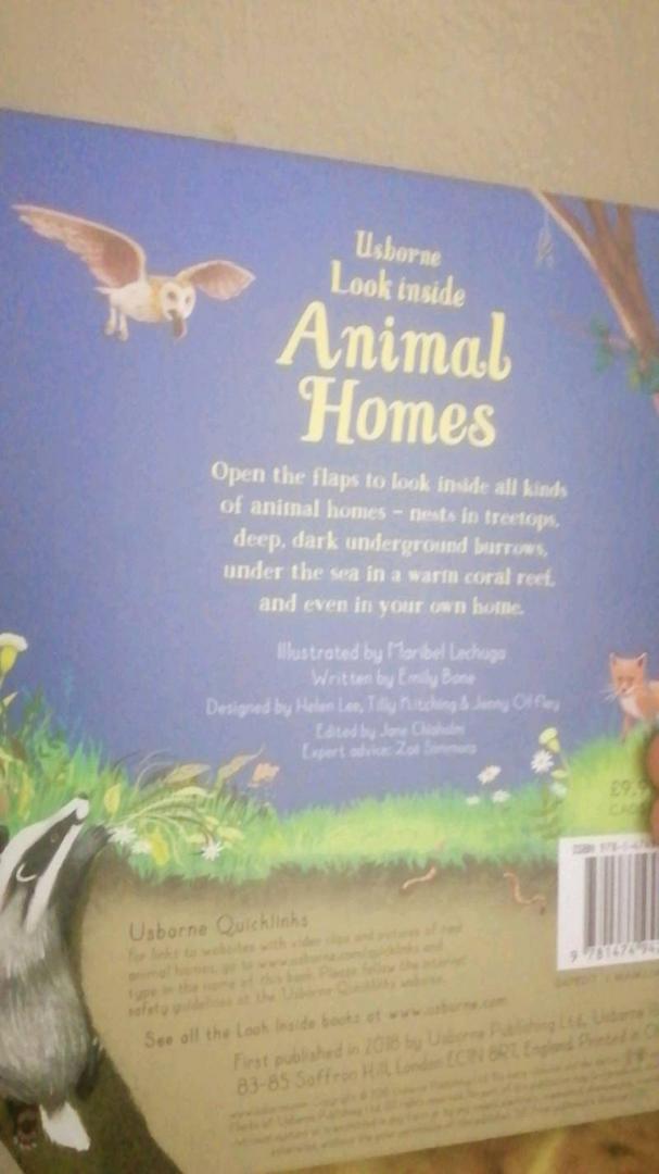 Jual [ORI] Usborne Look Inside Animal Homes. Lift the flap book. Buku anak  import | Shopee Indonesia
