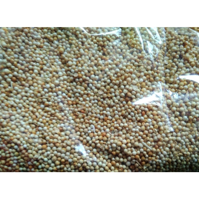 

tumbar fresh 1kg