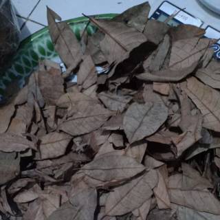  Daun  pala kering  1000 gram Shopee Indonesia