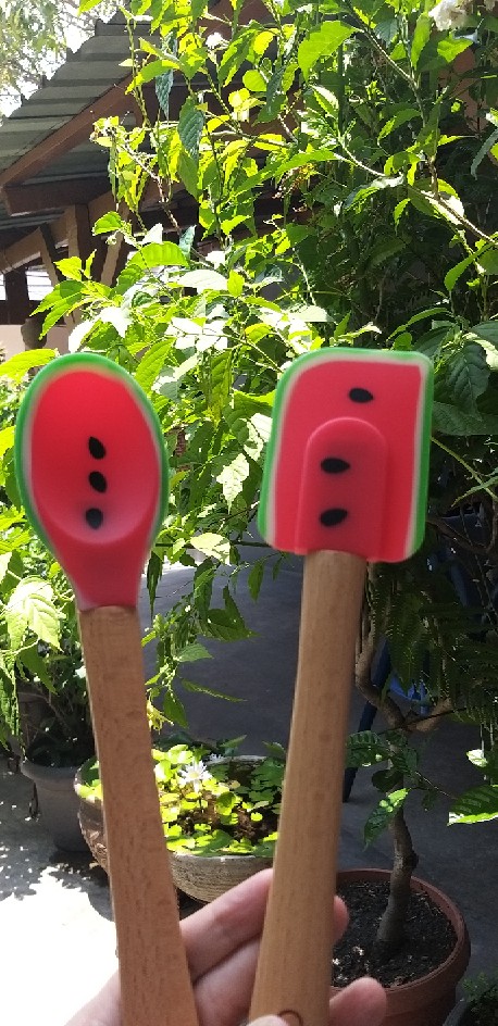 Am-0978 Cypruz Sodet Spatula Silicone Kotak Watermelon