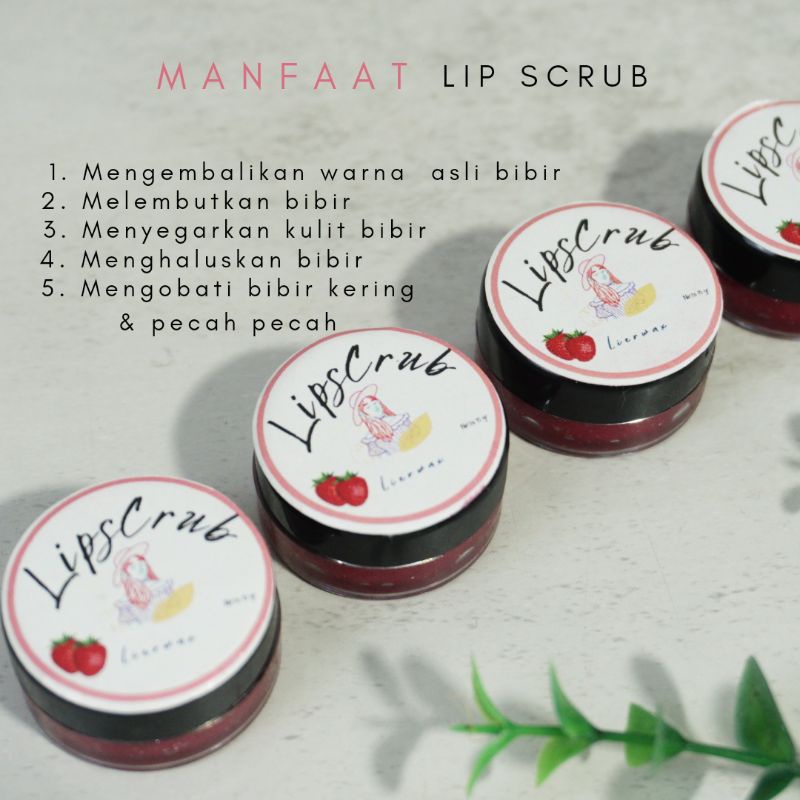 (COD) LIPSCRUB - SCRUB BIBIR - SERUM BIBIR HITAM - SRUB BIBIR - PEMERAH BIBIR HITAM - LIB SCRUB BIBIR - LIP SCRUB BIBIR - SCRUB BIBIR - PENCERAH BIBIR - LIP SCRUB EMINA - PEMERAH BIBIR PERMANEN - PERAWATAN BIBIR - LIP CARE - PELEMBAB BIBIR - EKSFOLIASI