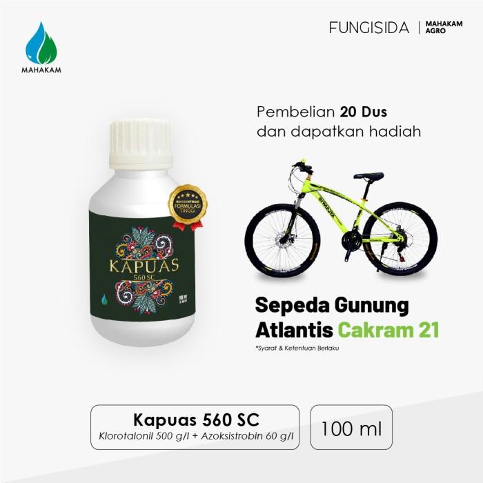 Kapuas 560 SC 100ml Fungisida Pestisida Pembasmi Hama Tanaman Kentang