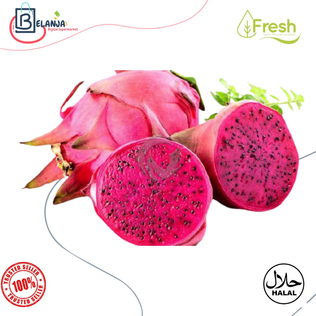 

Buah Naga Fresh / Dragon Fruit