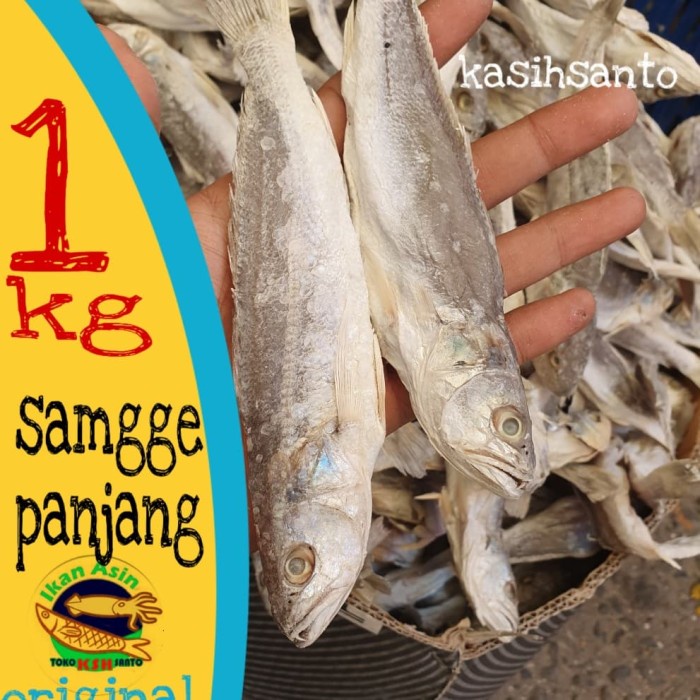

ikan asin samgge panjang 1kg