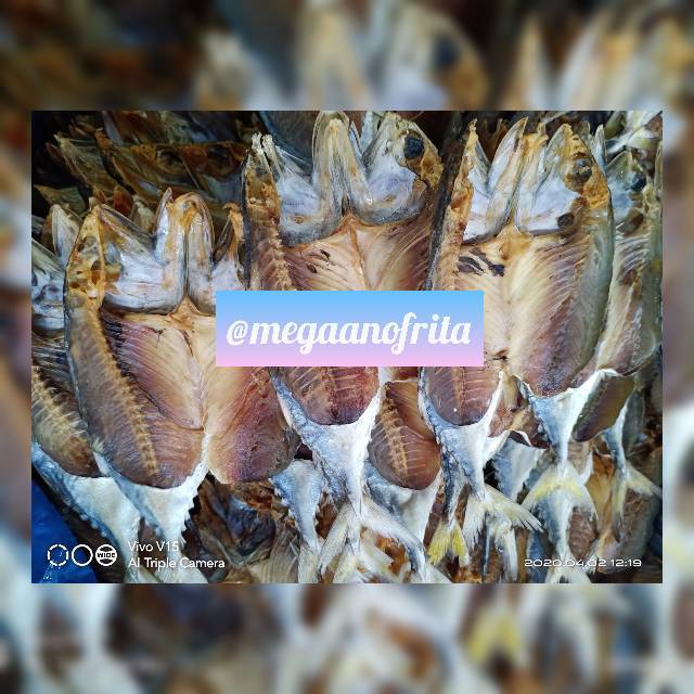

IKAN ASIN 100 GRAM