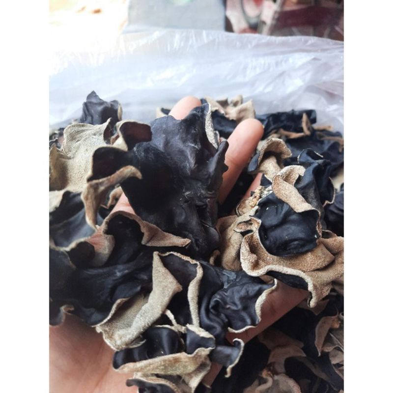 

[Ready]Jamur kuping sortir grade A super 1 kg