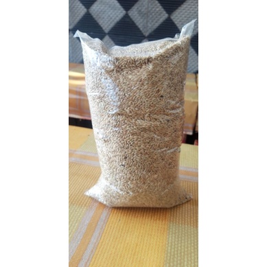 kenari seed / pakan kenari polos