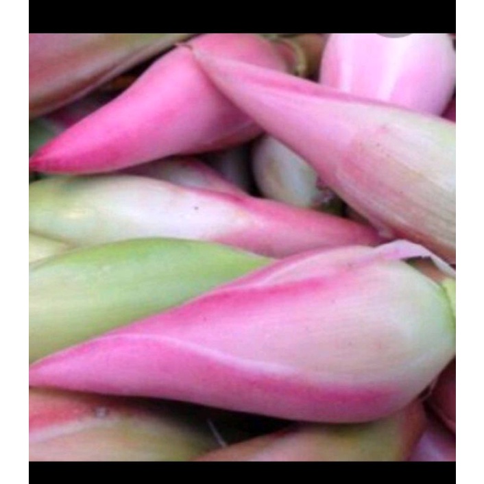 

Puri Segar Shop, Kecombrang 250 Gram