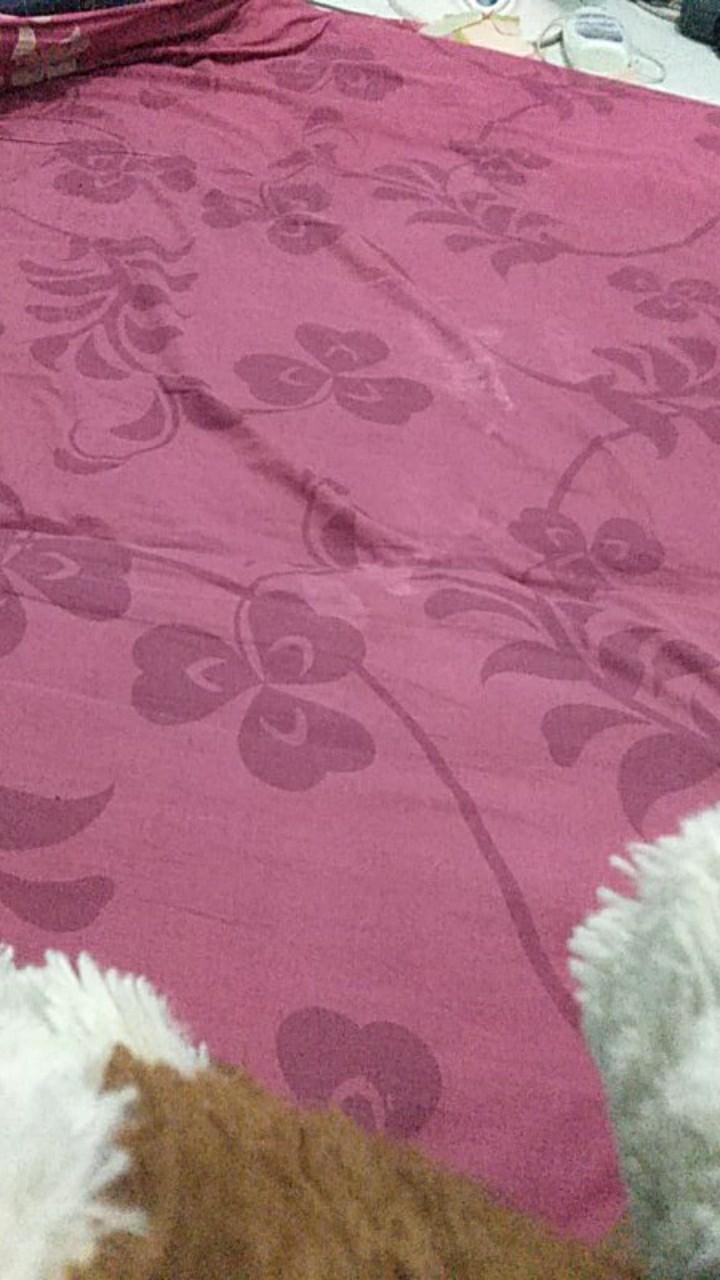 [isi 3 Pcs] Keranjang Parsel Buah