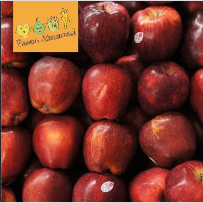 

Apel Merah Washington per Dus Panen Abnormal