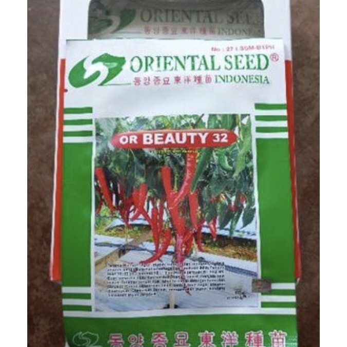 Benih Cabe Merah Besar OR BEAUTY 32 10gr