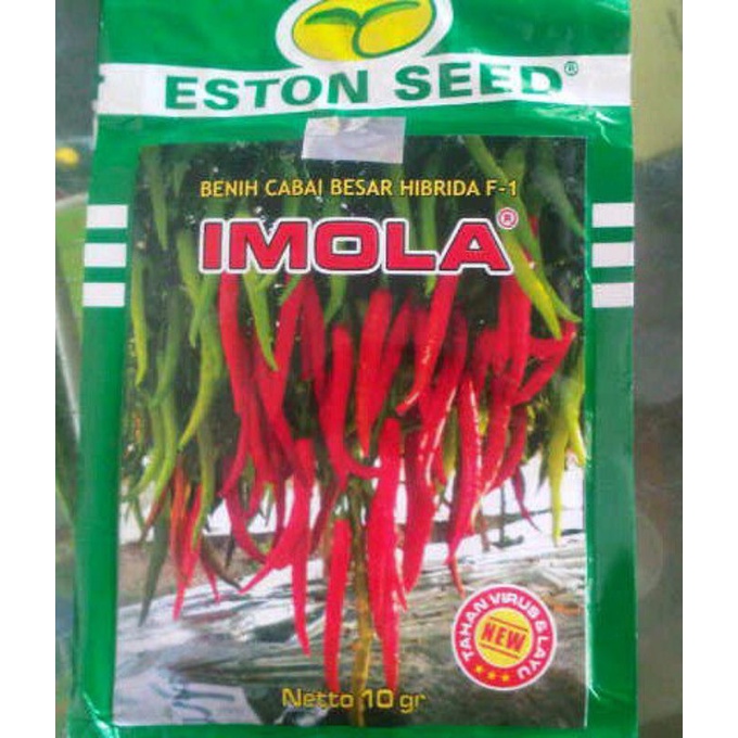 Cabe Besar IMOLA NEW F1/10GRAM