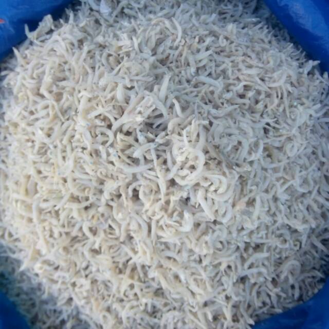 

ikan teri nasi medan