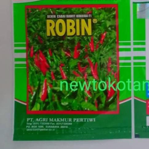 ♦ Benih cabe rawit hijau ROBIN F1 cabai cabe rawit robin f1 dari benih pertiwi ✾