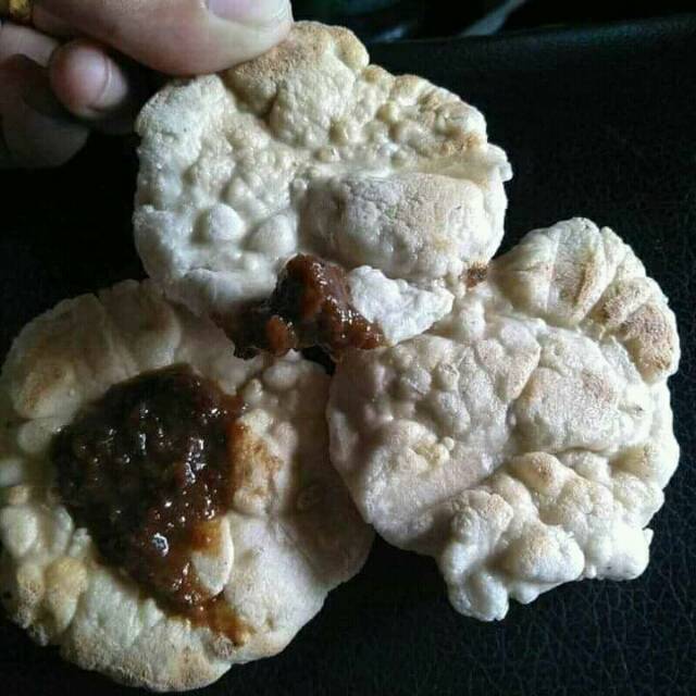 

KEMPLANG IKAN BANTAT