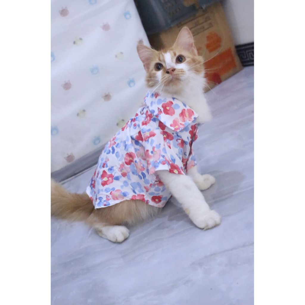 [Bahan adem] baju pantai warna toska lucu untuk kucing dan anjing / baju kucing murah size S M L XL