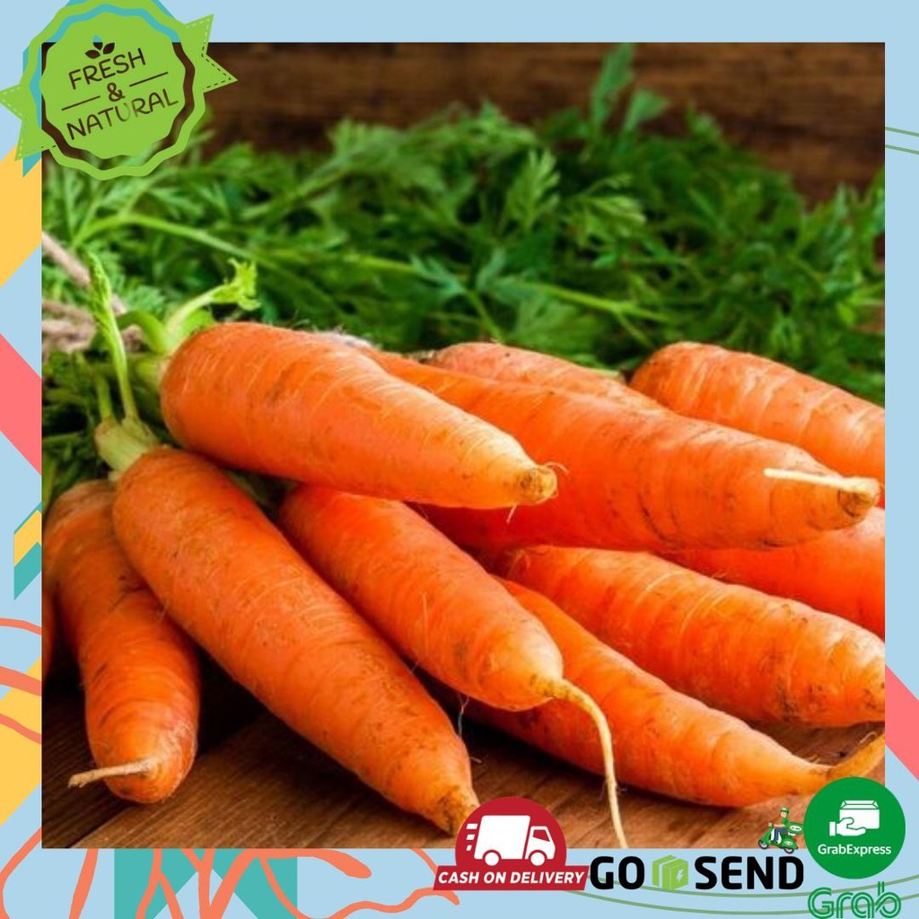 WORTEL SAYUR FRESH SAYURAN SEGAR