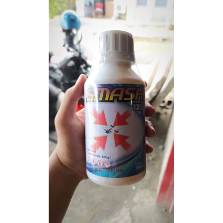 OBAT FOGGING PEMBASMI NYAMUK SMASH 100EC 500ML