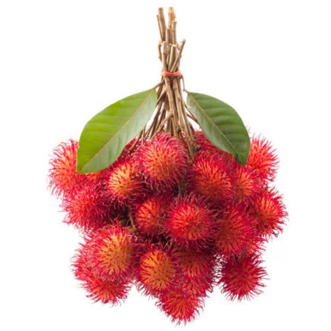 

Buah Rambutan Rapiah 1 ikat