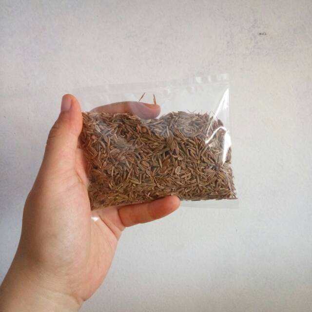 

Jinten/ Jintan. Jinten Masak.