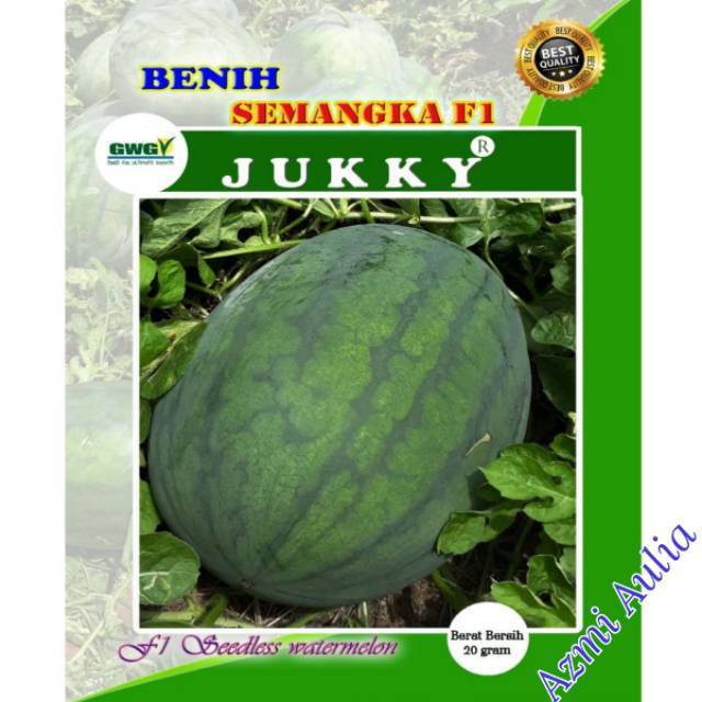 Benih Semangka Non Biji F1 JUKKY 20gram ±560 Biji / Bibit Semangka