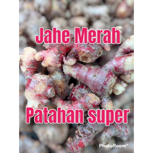 

jahe merah kecil patahan super 1kg