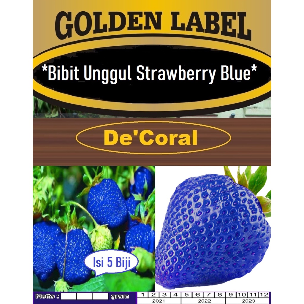 Bibit Strawberry Blue | Benih Strawberry Biru| Bibit Strobery Biru