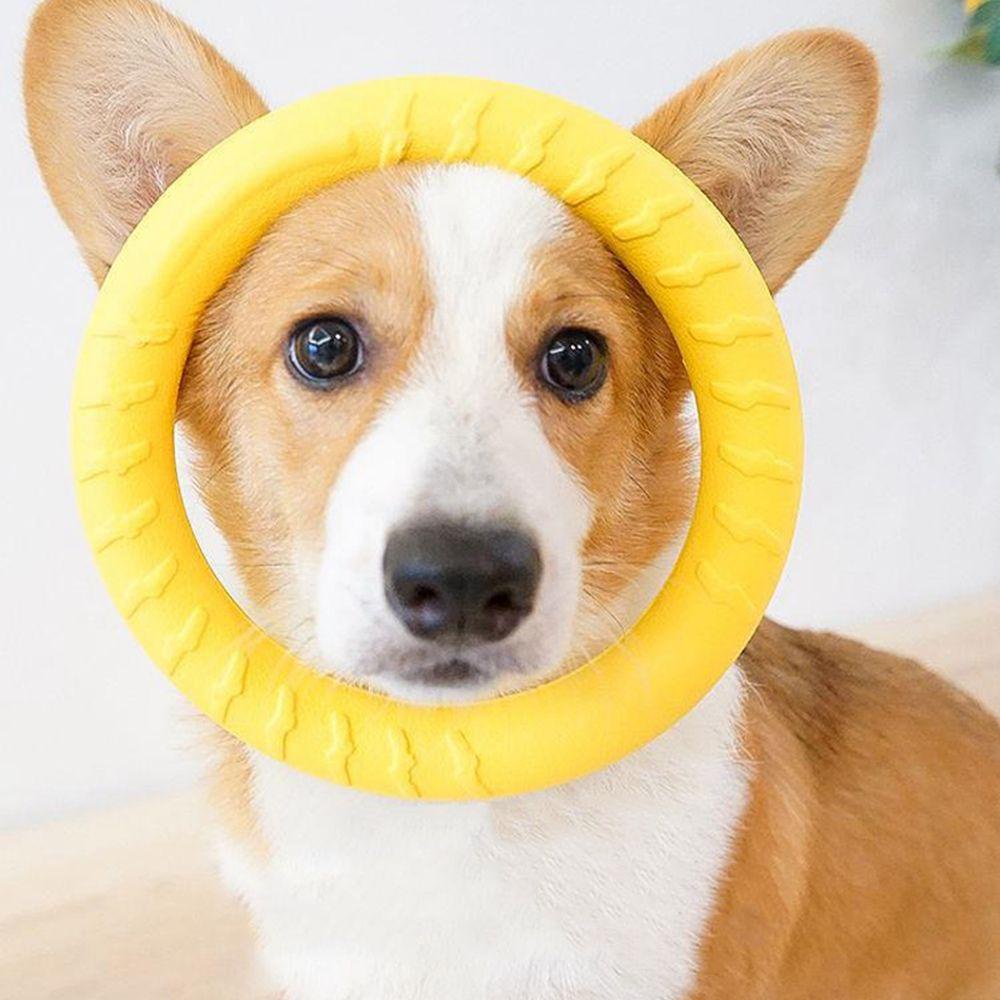 Quinton Ring Puller Toy EVA Untuk Anjing Kecil Besar Interaktif Mainan Anjing