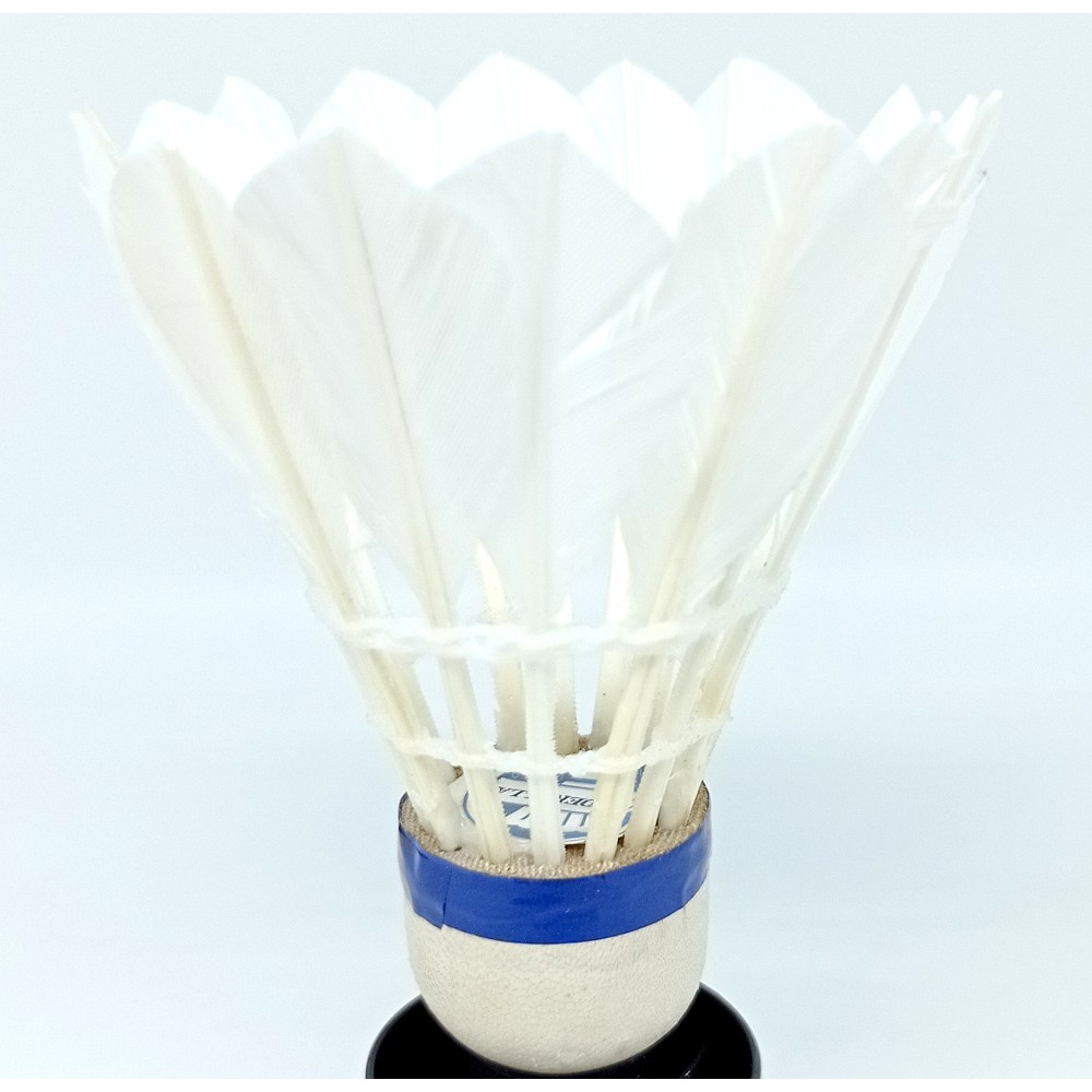 KOK bulutangkis Badminton Shuttlecock Cinderella Biru Murah original