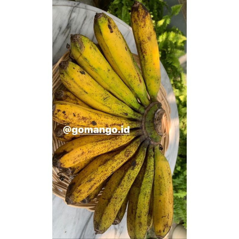 

PISANG BARANGAN super