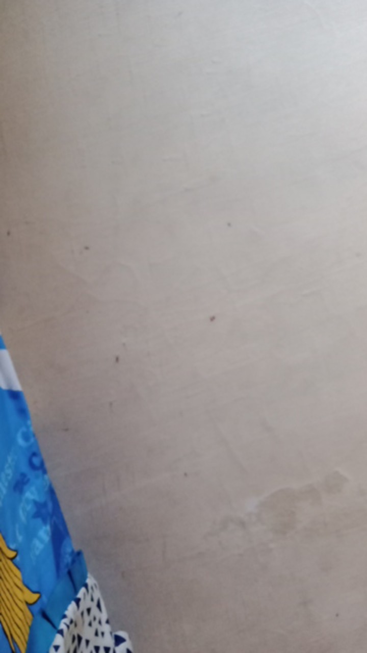 Rc Handuk Olahraga/sport Merah Putih  Berlabel 30x70 Cm Banyak Warna